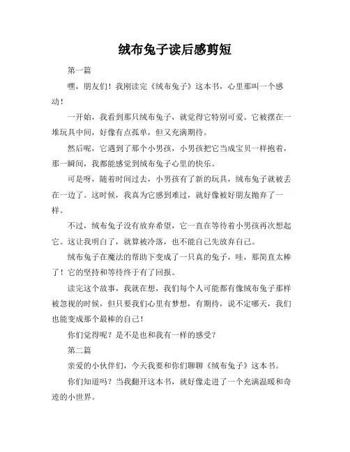 绒布兔子读后感剪短