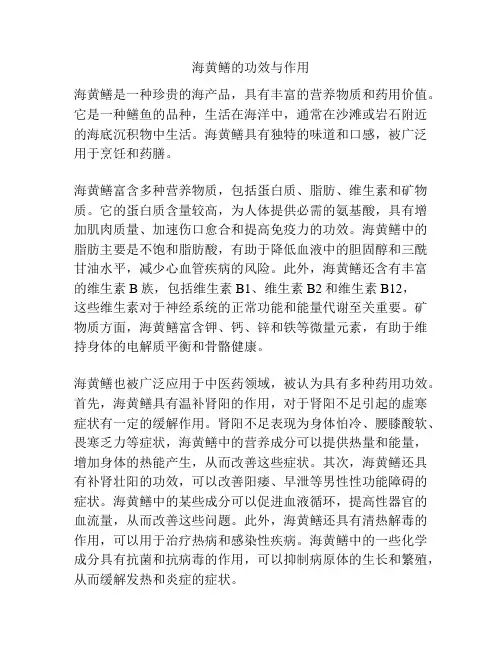 海黄鳝的功效与作用