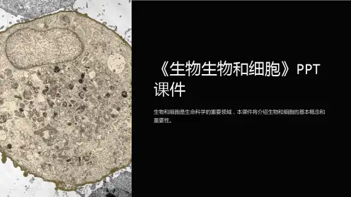 《生物生物和细胞》课件
