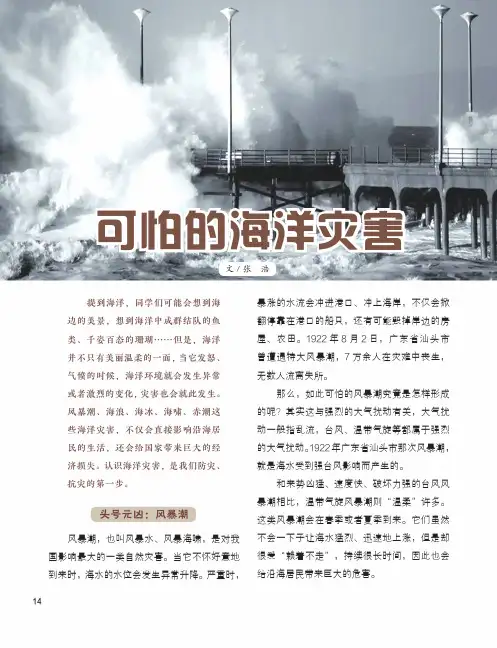 可怕的海洋灾害