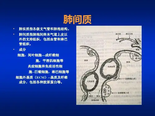 间质性肺疾病诊断和治疗进展--培训班