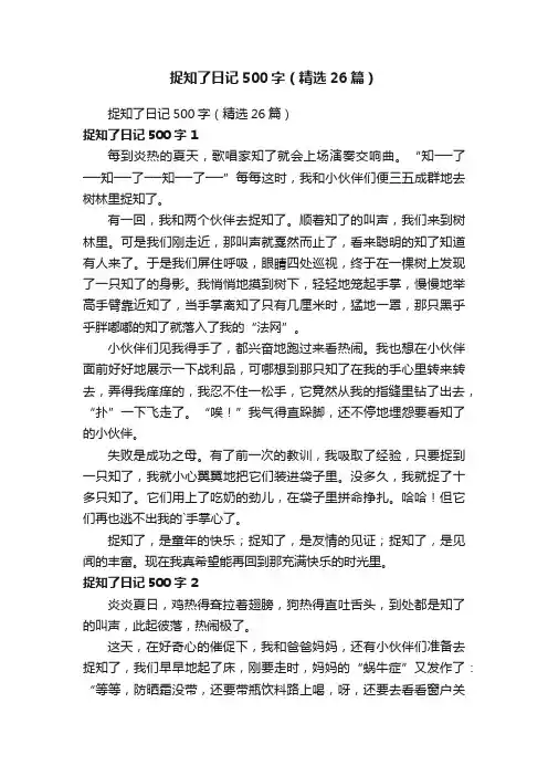 捉知了日记500字（精选26篇）