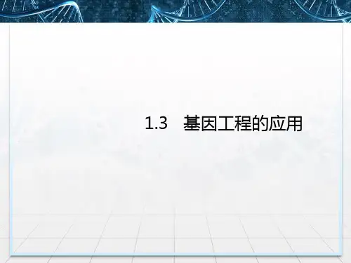 新人教版生物选修三：基因工程的应用教学PPT课件