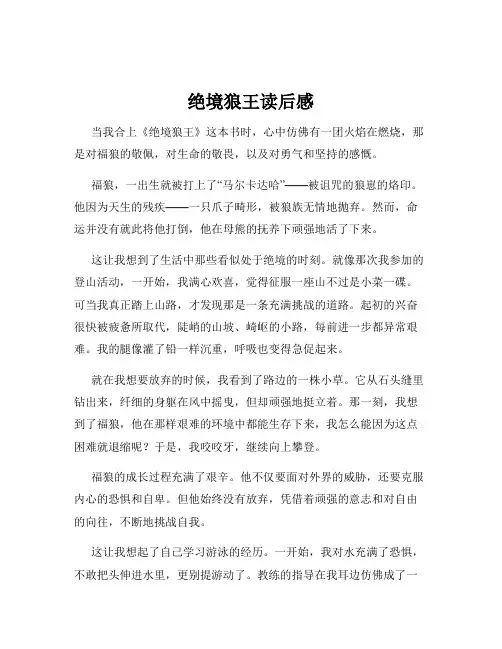 绝境狼王读后感