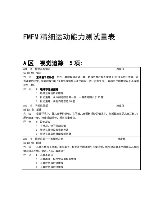 FMFM精细运动量表