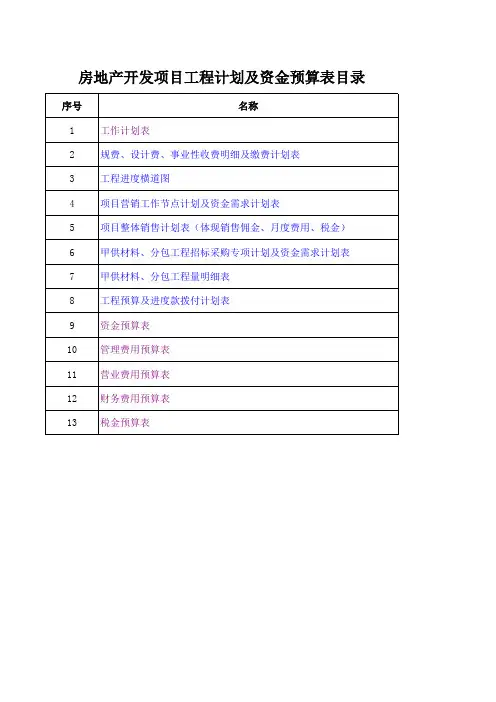 房地产项目全面预算表格