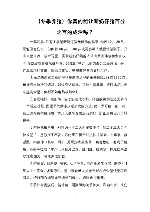 (冬季养猪)你真的能让断奶仔猪百分之百的成活吗？