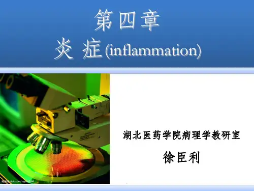 病理学(第八版)最新1炎症ppt课件