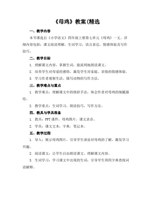 《母鸡》教案(精选