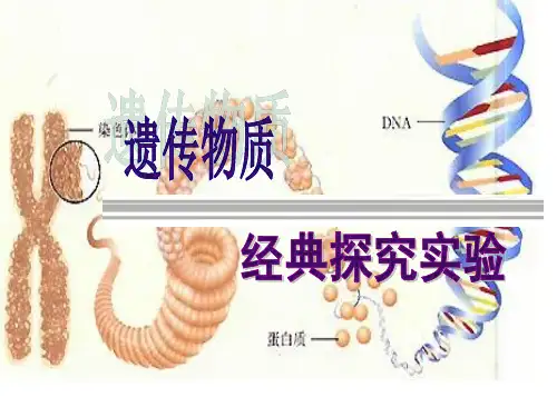 高中生物一轮复习必修二 遗传物质的经典探究实验