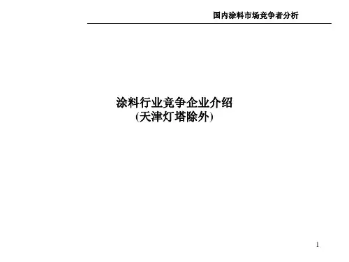 涂料行业竞争企业介绍(ppt)