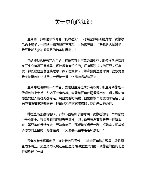 关于豆角的知识
