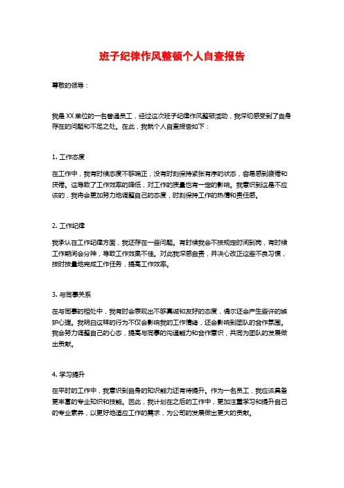 班子纪律作风整顿个人自查报告