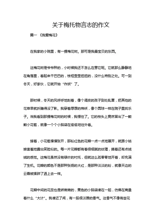 关于梅托物言志的作文