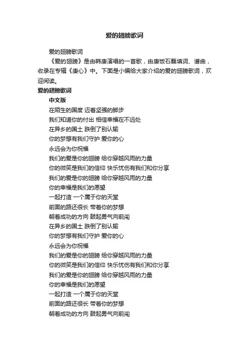 爱的翅膀歌词