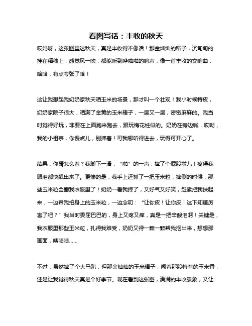 作文《看图写话：丰收的秋天》