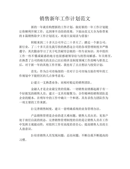 销售新年工作计划范文