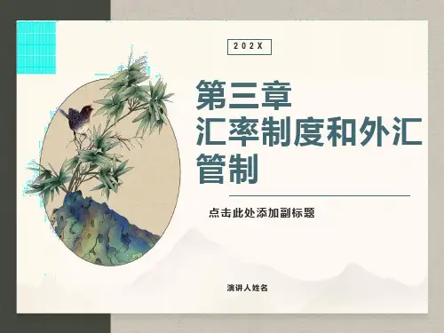 汇率制度和外汇管制