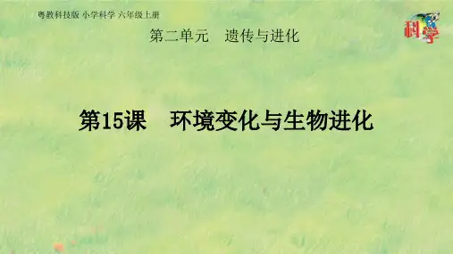 六年级上册科学课件-第二单元 第15课《环境变化与生物进化》粤教版 (共21张PPT)