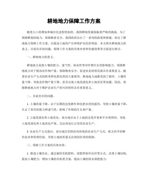 耕地地力保障工作方案