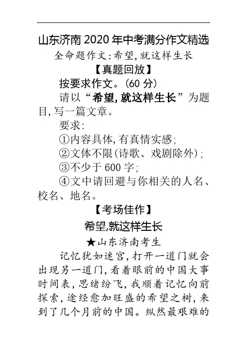 希望,就这样生长(记忆犹如迷宫) 济南2020年中考作文