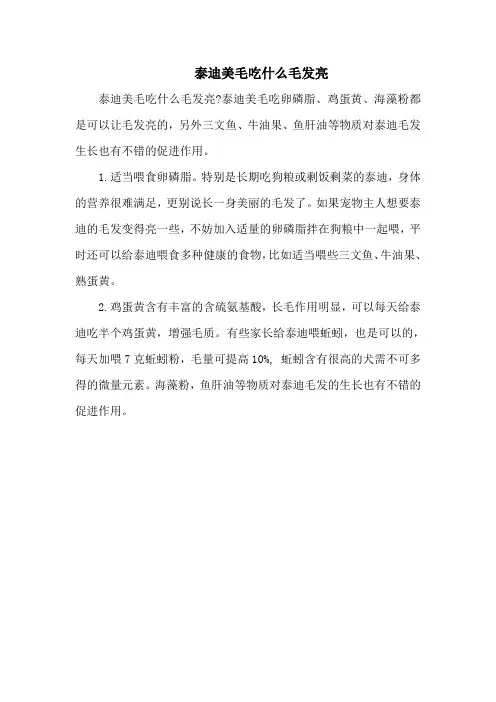 泰迪美毛吃什么毛发亮