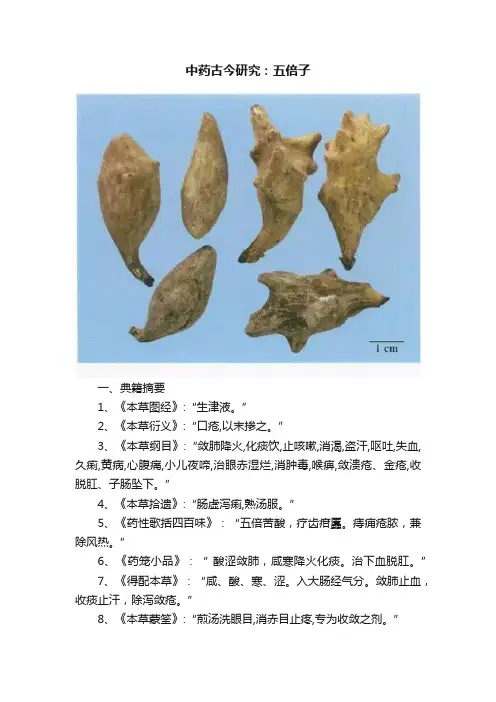中药古今研究：五倍子