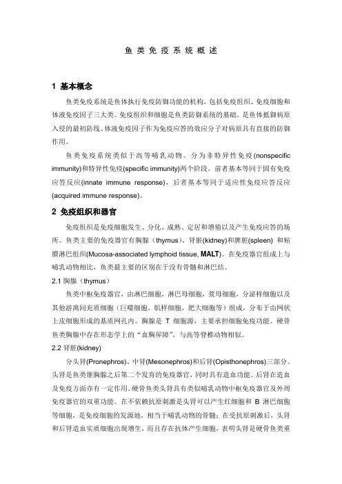 鱼类免疫系统