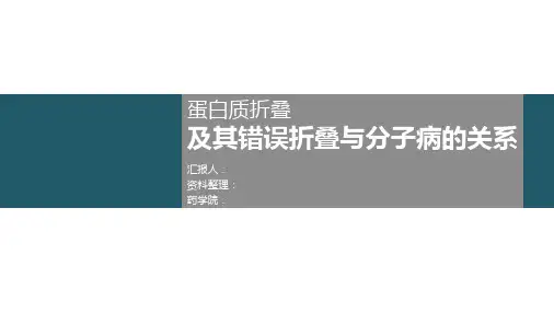 蛋白质折叠与错误折叠及分子病讲解