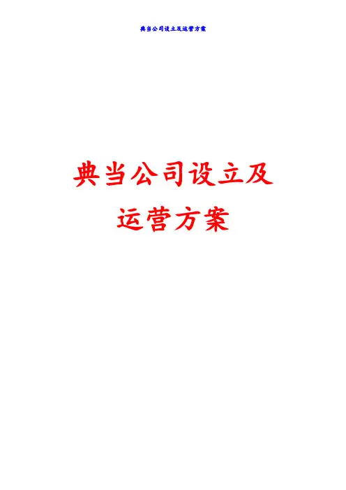 典当公司设立及典当公司运营方案(最新版)