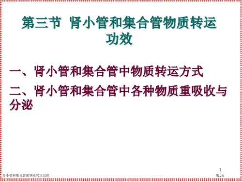 肾小管和集合管的物质转运功能专家讲座