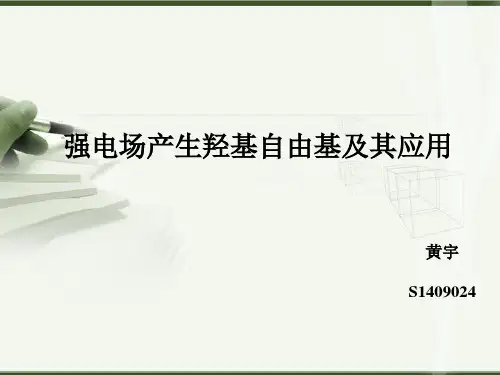 强电场电离产生羟基自由基-黄宇-S1409024