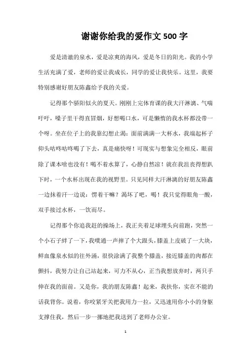 谢谢你给我的爱作文500字