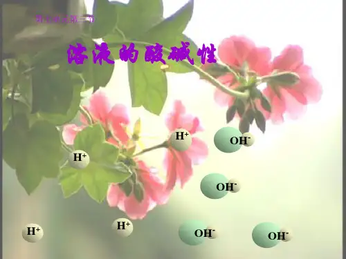 鲁教版九年级第七单元第三节溶液的酸碱性剖析
