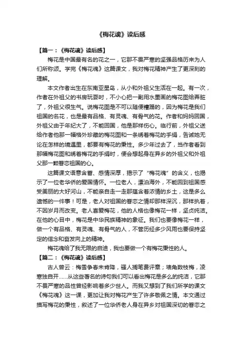 《梅花魂》读后感8篇