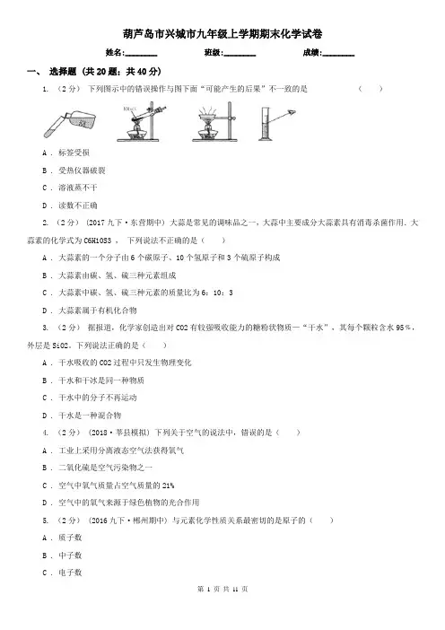 葫芦岛市兴城市九年级上学期期末化学试卷