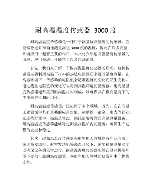 耐高温温度传感器 3000度