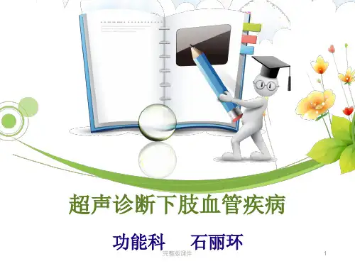 超声诊断下肢血管ppt课件