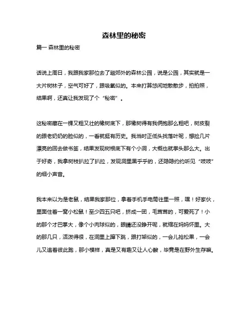 作文《森林里的秘密》