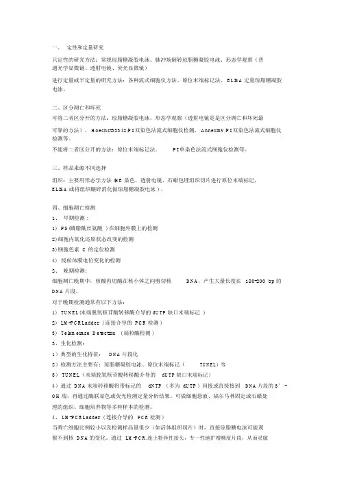 细胞凋亡的研究方法