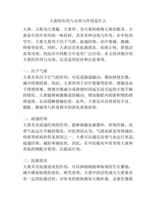 大黄的作用与功效与作用是什么