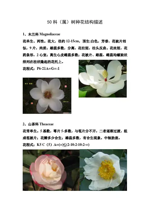 50科(属)花结构