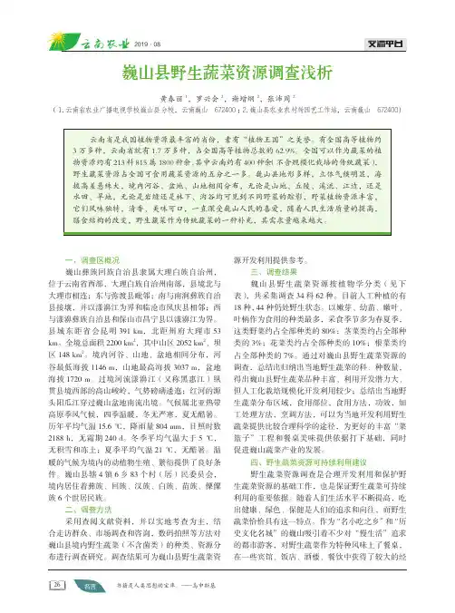 巍山县野生蔬菜资源调查浅析