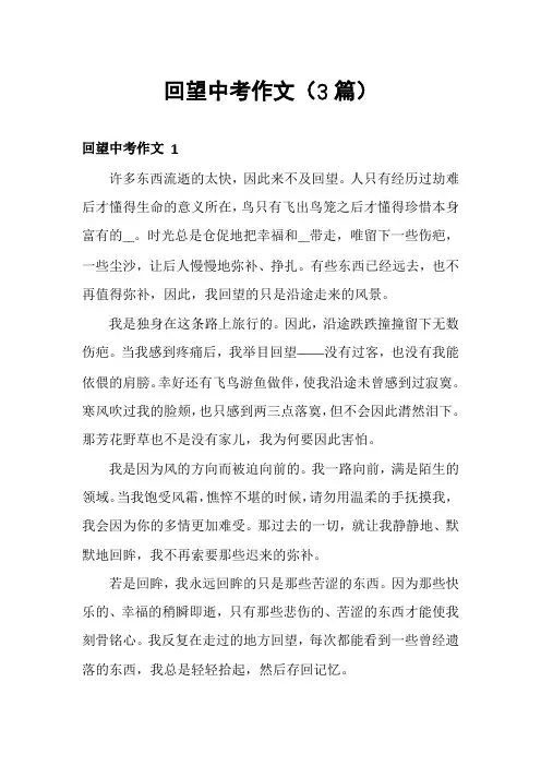 回望中考作文(3篇)