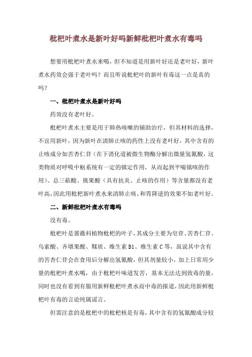 枇杷叶煮水是新叶好吗 新鲜枇杷叶煮水有毒吗