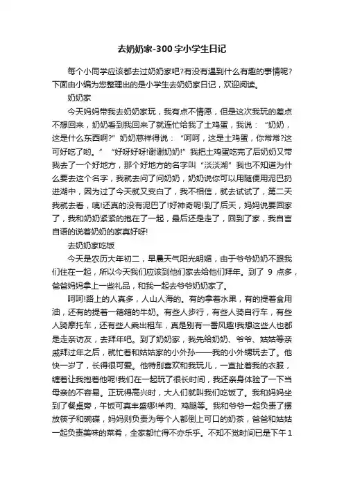 去奶奶家-300字小学生日记