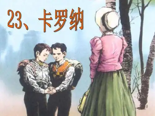 23卡罗纳公开课课件.ppt