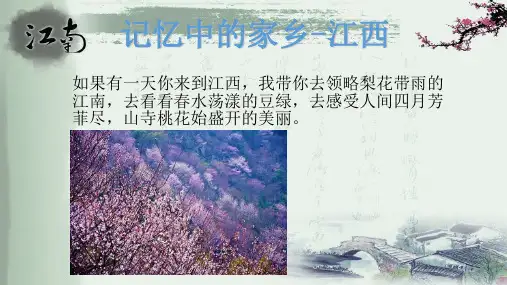 我为家乡代言--江西共21页PPT资料