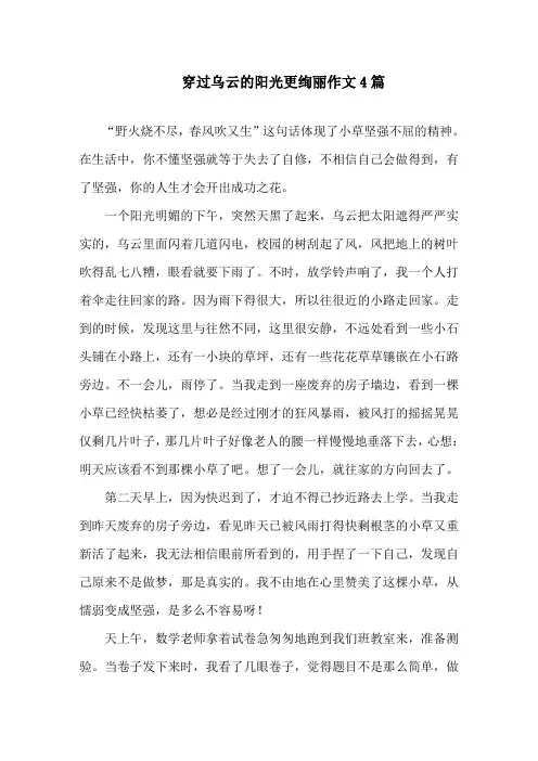 中小学穿过乌云的阳光更绚丽作文4篇
