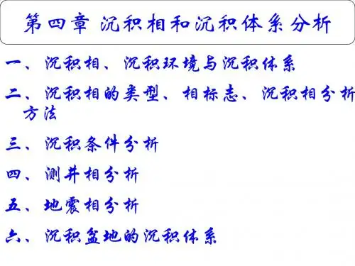 沉积相和沉积体系分析报告PPT课件( 37页)